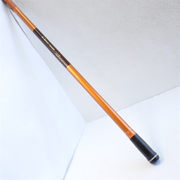 １４キャスティズムＴ２７―３８５